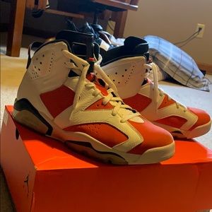 Jordan Retro Gatorade 6’s